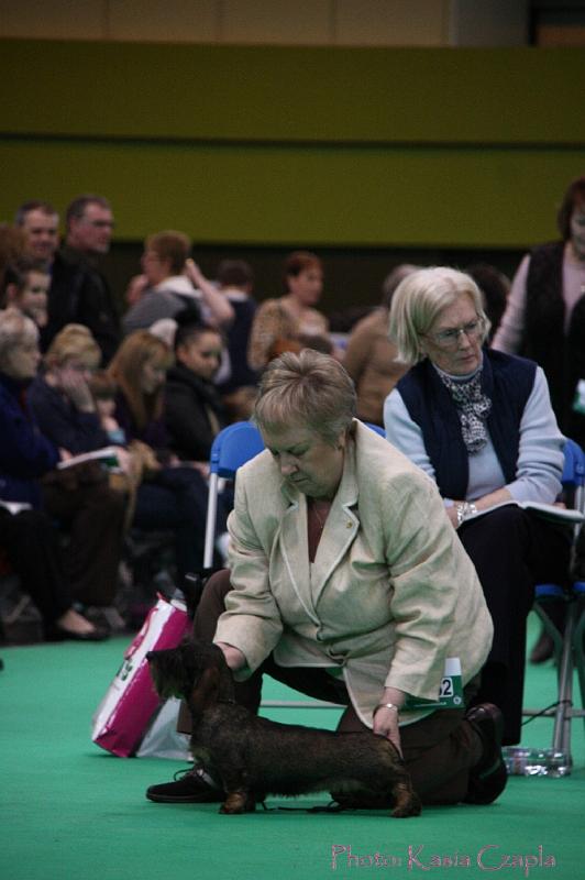 Crufts2011_2 1091.jpg